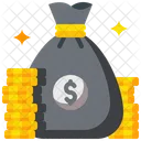 Bag Coin Money Icon