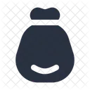 Money Bag  Icon