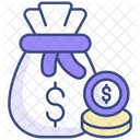 Money bag  Icon