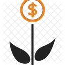 Money flower  Icon