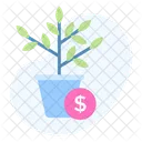 Money Plant Growth Icon
