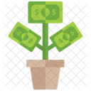 Money Growth Dollar Plant Business Growth Icon