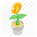 Plant Bitcoin Bitcoin Growth Money Growth Icon