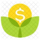 Money Coin Plant Icon