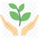 Money Growth Money Plant Business Cooperation Icon
