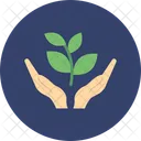 Money Growth Money Plant Business Cooperation Icon