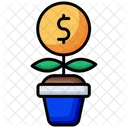 Money Growth Money Growth Icon