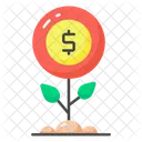 Money Plant Growth Icon