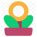 Money Growth  Icon