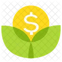 Money Coin Plant Icon