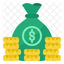 Coin Money Bag Icon