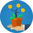 Money Plant Income Icon