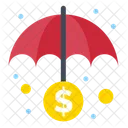 Money Insurance  Icon