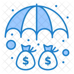 Money Insurance  Icon