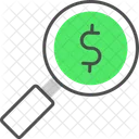 Money Magnifying  Icon