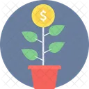 Money Marking Growth Tree Icon