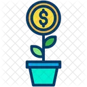 Money Plant Growth Dividend Icon