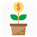 Growth Money Plant Money Growth Icon