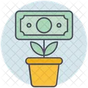 Business Money Plant Icon