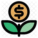 Money Plant  Icon