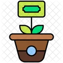 Money Plant Growth Business Growth Icon