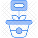 Money Plant Growth Business Growth Icon