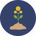 Money Plant Business Growth Business Plant Icon