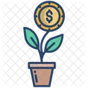 Money Plant Dallor Plant Money Growth Icon