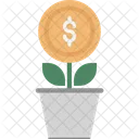 Money Plant Plant Icon