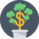 Money Plant Finance Icon