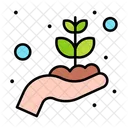 Money Plant  Icon