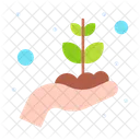 Money Plant  Icon