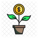 Money Plant  Icône