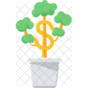 Money Plant House Plant Icon