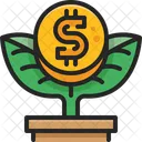 Money Plant Tree Growth Icon