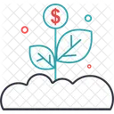 Money Plant Investment Finance Icon