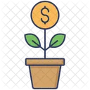 Money Plant Coin Plant Leaf Icon