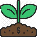 Money Plant  Icon