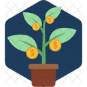 Investments Money Money Plant Icon