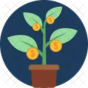 Money Plant Investments Money Icon