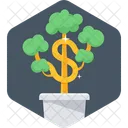 Money Plant Business Growth Icon