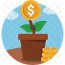 Green Plant Indoor Plant Wealth Plant Icon