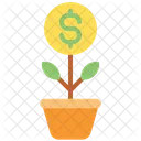 Money Plant Investment Money Growth Icon