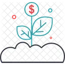 Money Plant  Icon