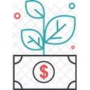 Money Plant  Icon