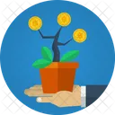 Money Plant Income Icon