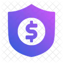 Money Protected  Icon