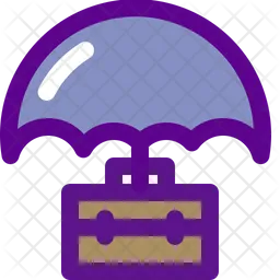 Money Protection  Icon