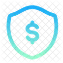 Money Security Icon