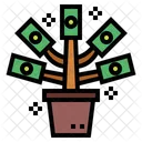 Money Tree  Icon